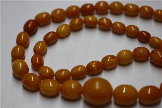 A single strand graduated oval amber bead necklace, gross weight 104 grams, 86cm.